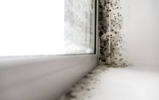 Areas Mold Can Hide In The Home